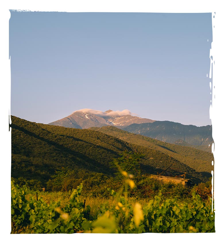 Le Domaine Domanova, agriculture biologique.