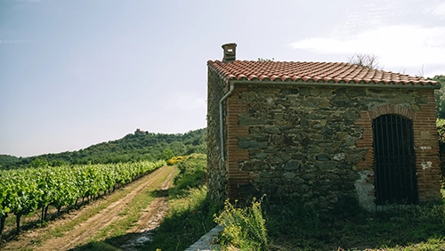 La terrasse du Canigou