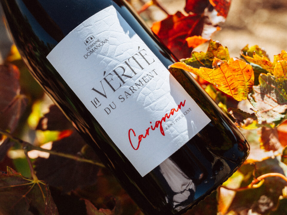 cuvée vérité du sarment carignan, vin rouge du roussillon, domaine domanova