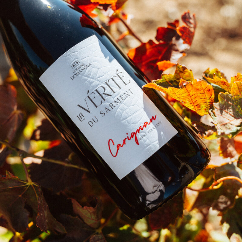 cuvée vérité du sarment carignan, vin rouge du roussillon, domaine domanova