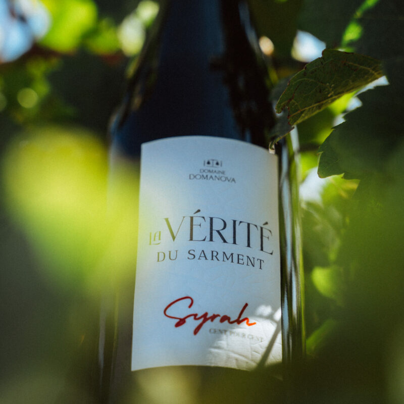 cuvée vérité du sarment Syrah, vin rouge du roussillon, domaine domanova